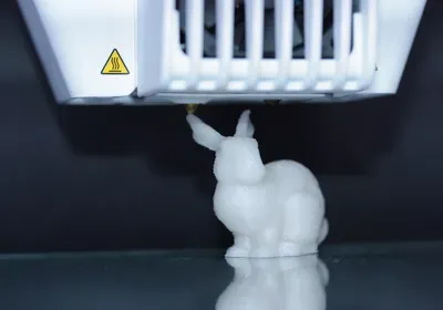 3d printed rabbit dna data storage 